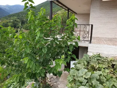 ویلا دوخوابه پویان شمام