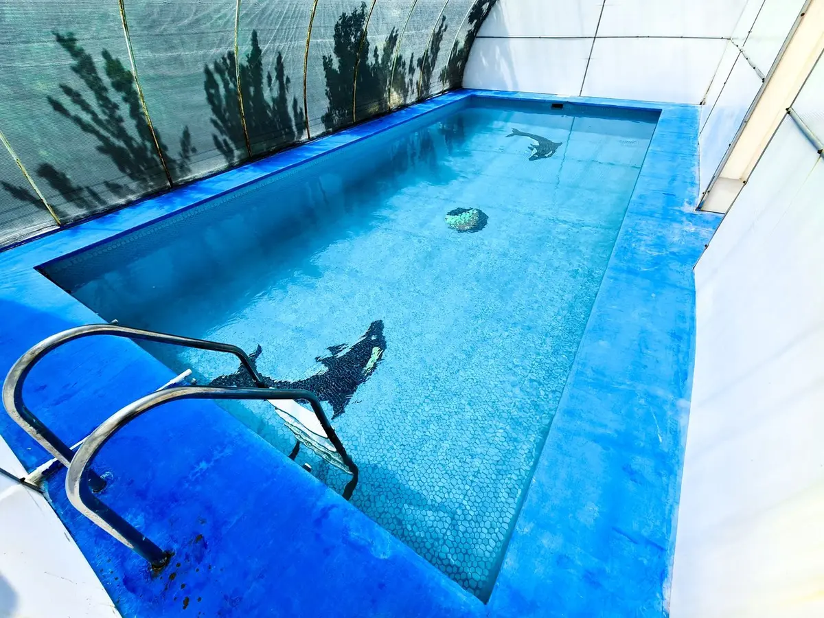 ویلا دوخوابه استخردار آبگرم رز 1 - کاملا سرپوشیده و دارای آبگرم