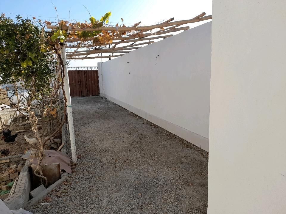 فلت ولیعصر 3