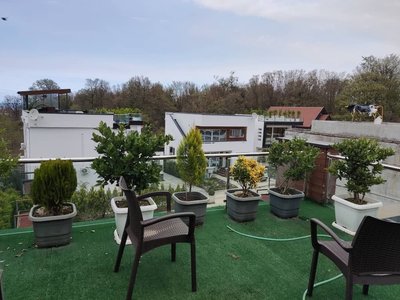 ویلا سه خوابه جنگلی جانا