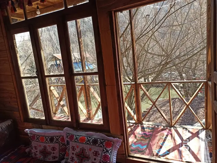 فلت بید مجنون