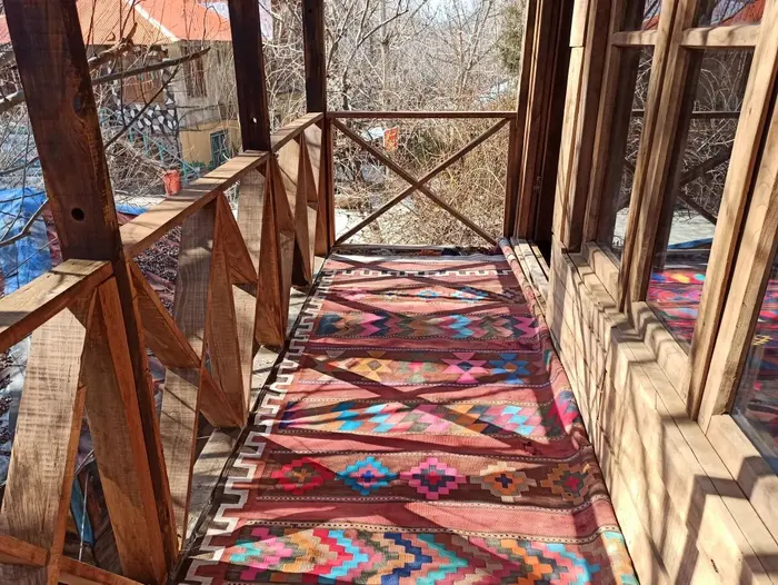 فلت بید مجنون