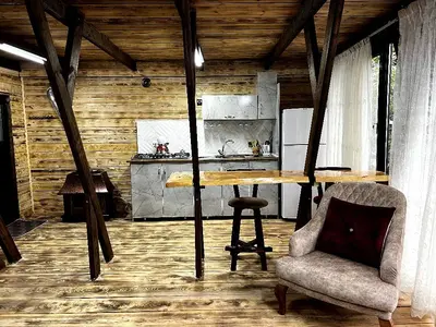 کلبه یک خوابه سوئیسی چوبی جکوزی دار آلفا