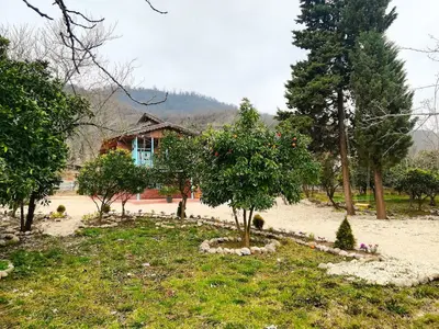 بومگردی حاج حسین پرویزی -واحد 5