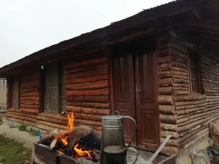 بلوط کهن - واحد اوجا - کهن بلوط