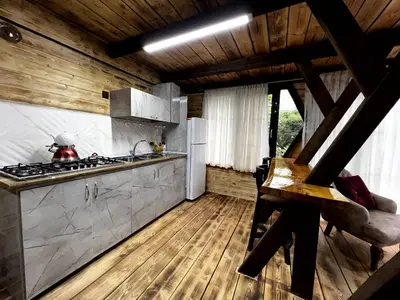 کلبه یک خوابه سوئیسی چوبی جکوزی دار آلفا