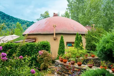 بومگردی یارا - واحد شوکا