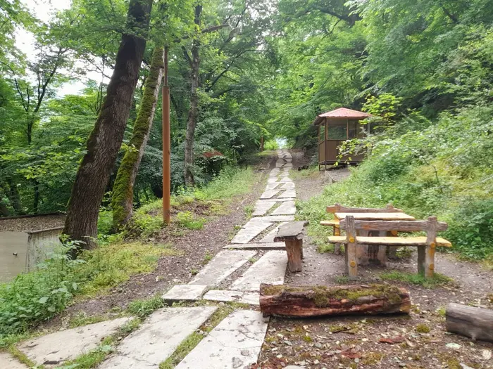 نسوم - واحد ۱ - نسوم