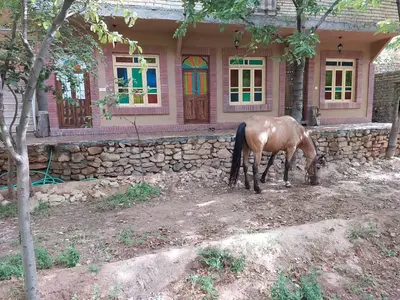 اقامتگاه سنتی پردیس آساک - واحد 104