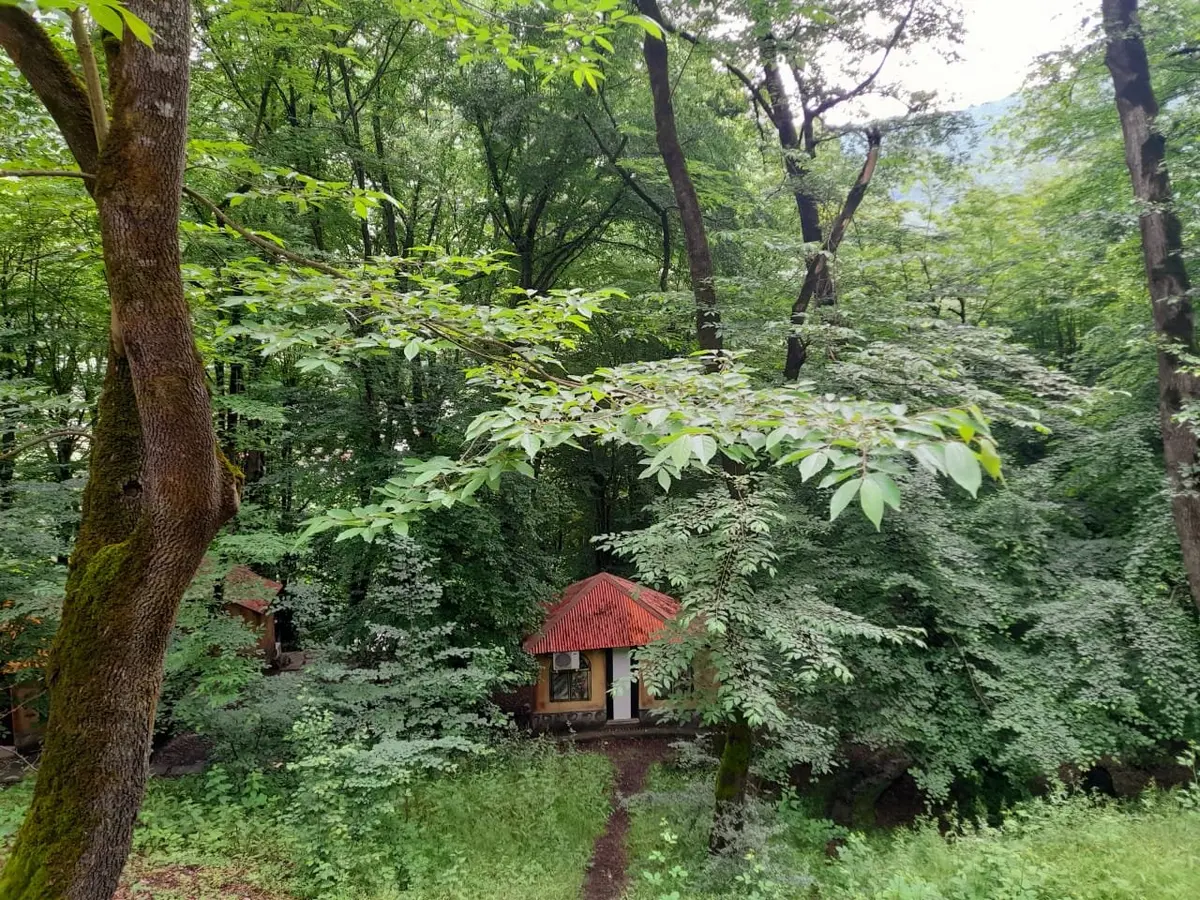 نسوم - واحد ۱ - نسوم