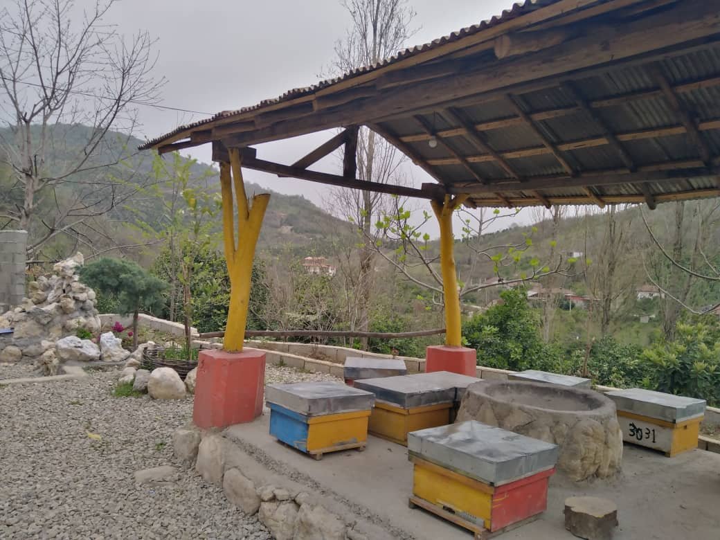 عمارت فرشتگان - واحد ساناز