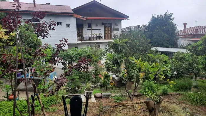 سوئیت فلت جنگلی سرچشمه - سرچشمه