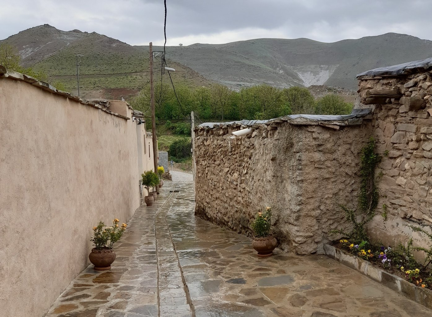 اله بوم - واحد گل گلی