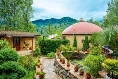 بومگردی یارا - واحد بلوط