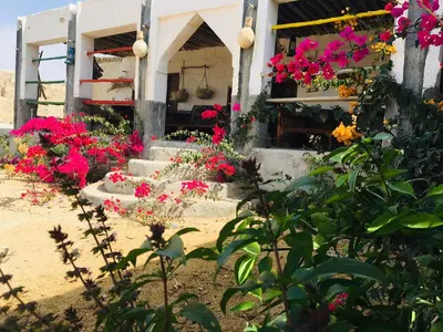 بومگردی ناخدا علی - واحد جنگل حرا