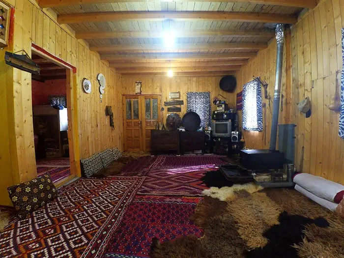 بلوط کهن - واحد اوجا - بلوط