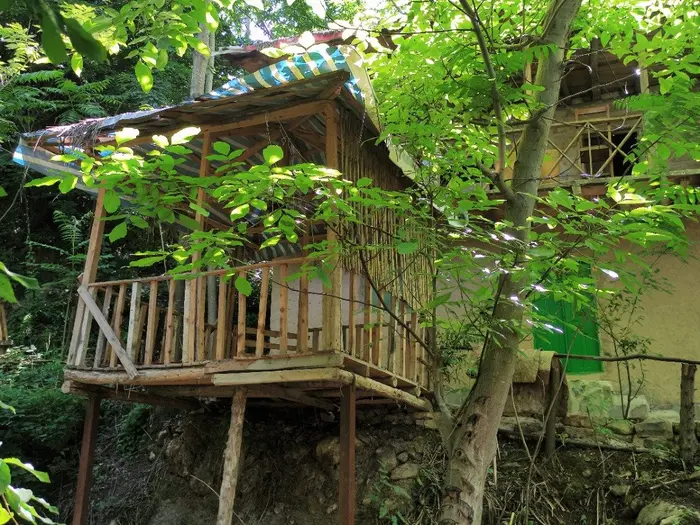 کومه -واحد صنوبر - کومه