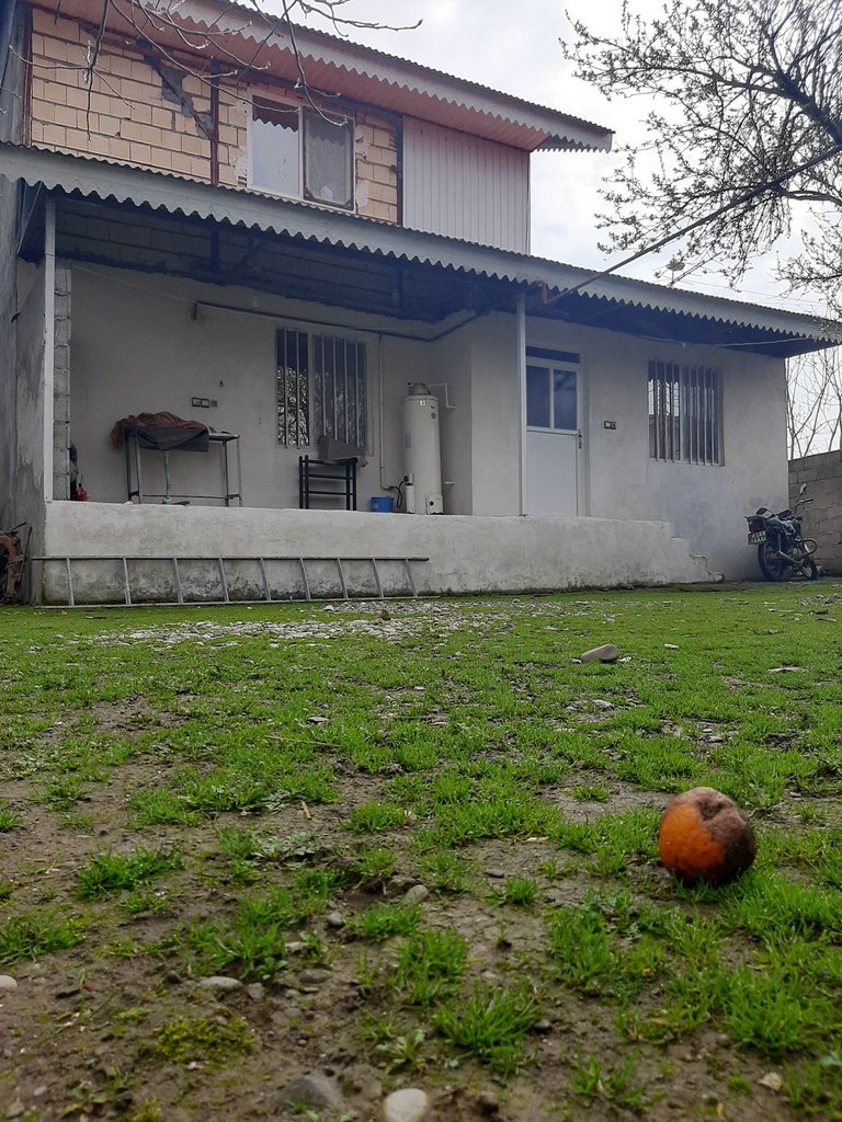 سوئیت یک خوابه ساحلی پرنیان