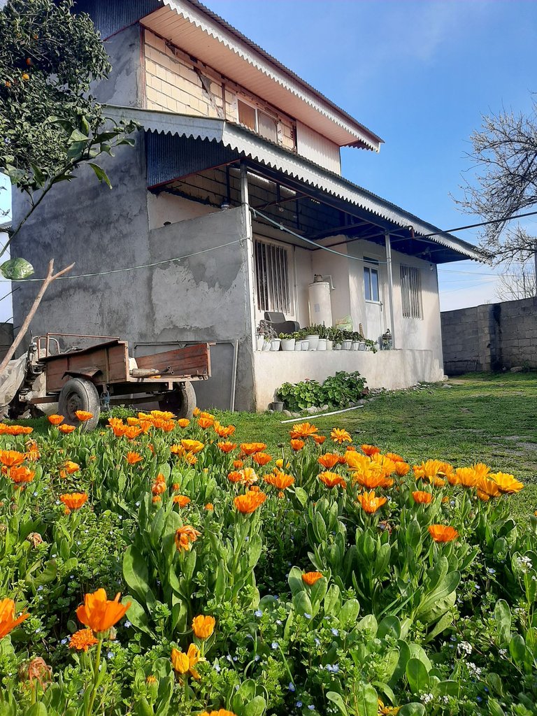 سوئیت یک خوابه ساحلی پرنیان