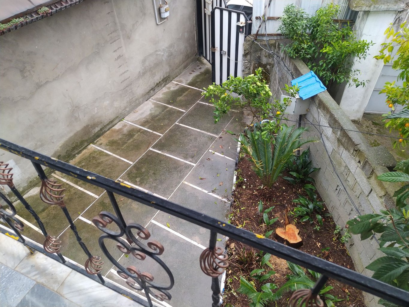 تمیز تک خواب پای کوه