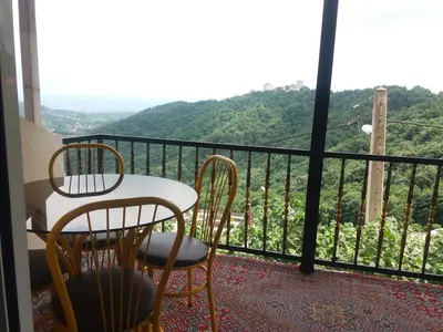 سوئیت یک خوابه سبز پیازکش