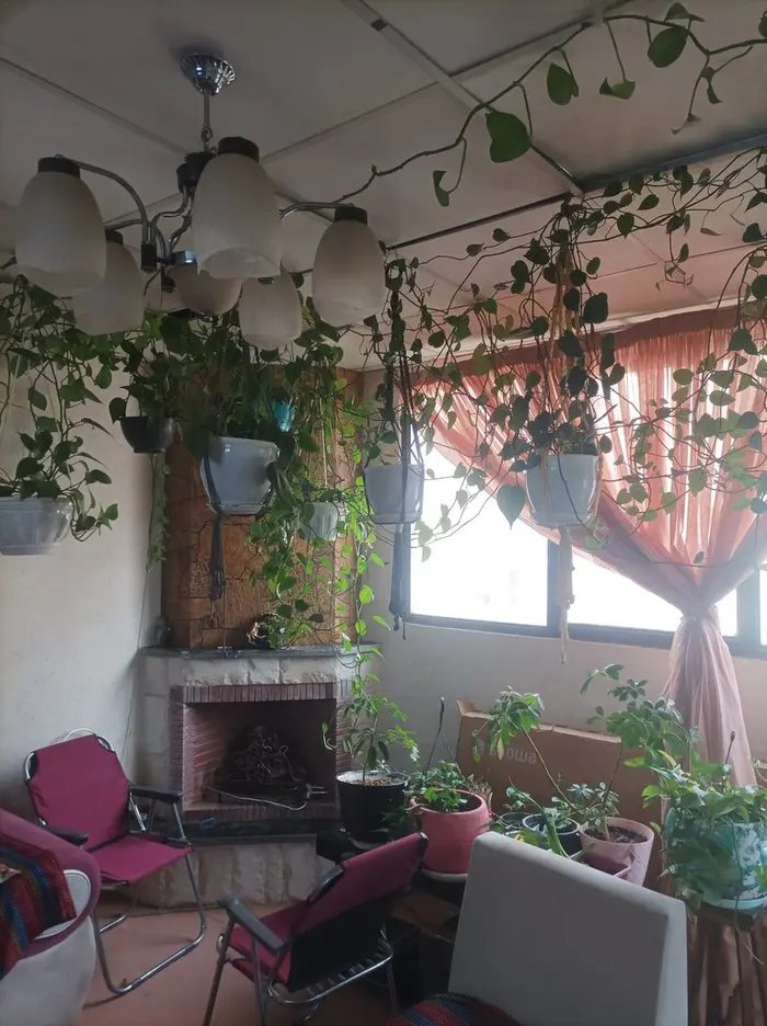 آپارتمان یک خوابه طلاییه 1