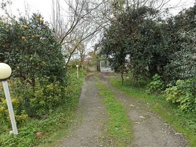 سوئیت یک خوابه جاوید