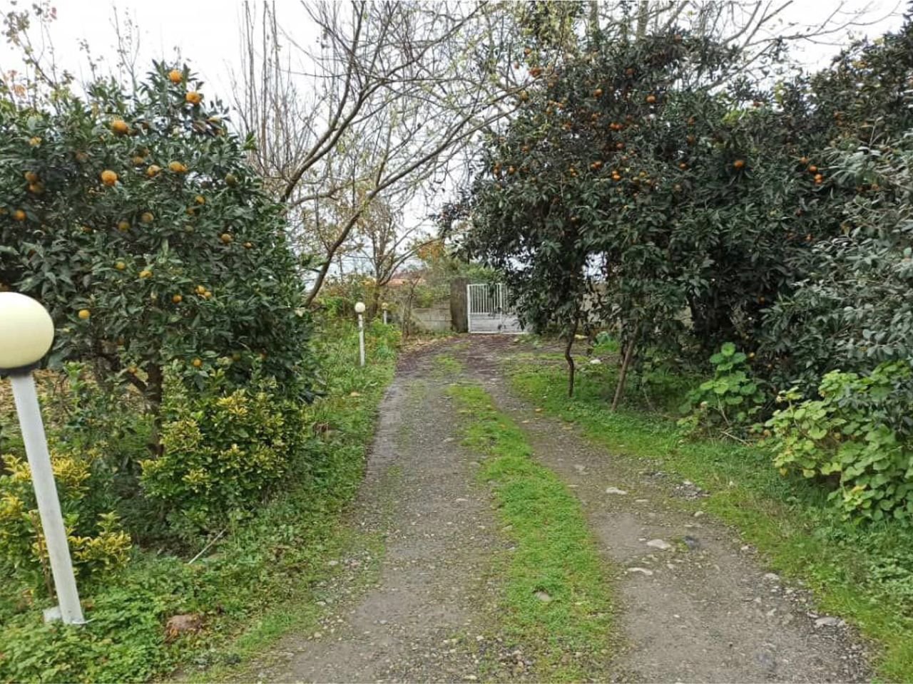 سوئیت یک خوابه جاوید