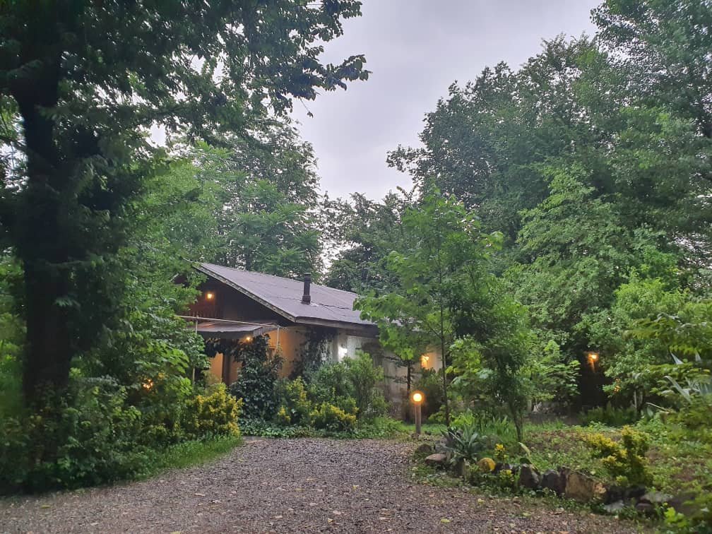 دوخوابه شادمان سبز