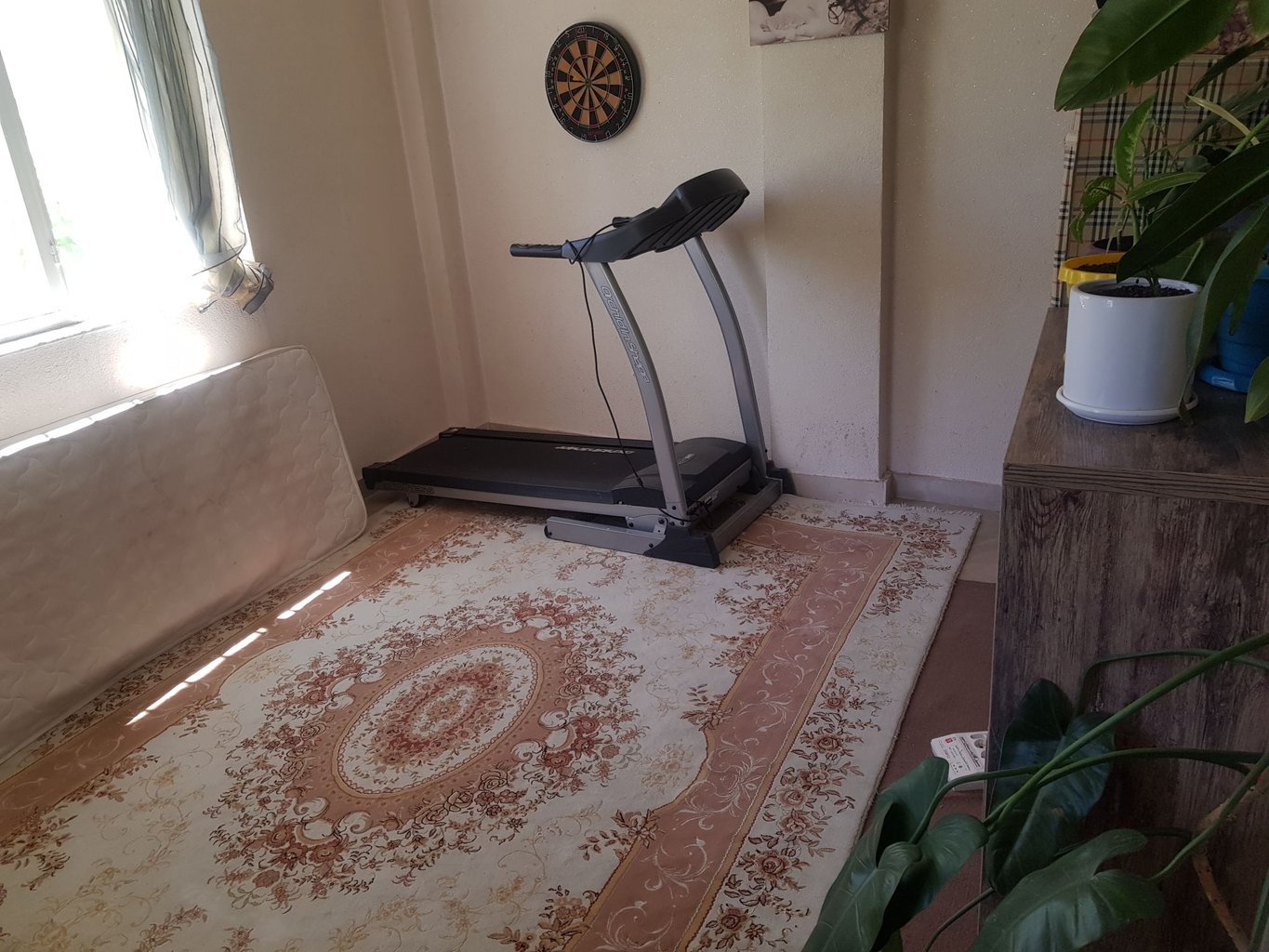 دوخوابه شقایق 125