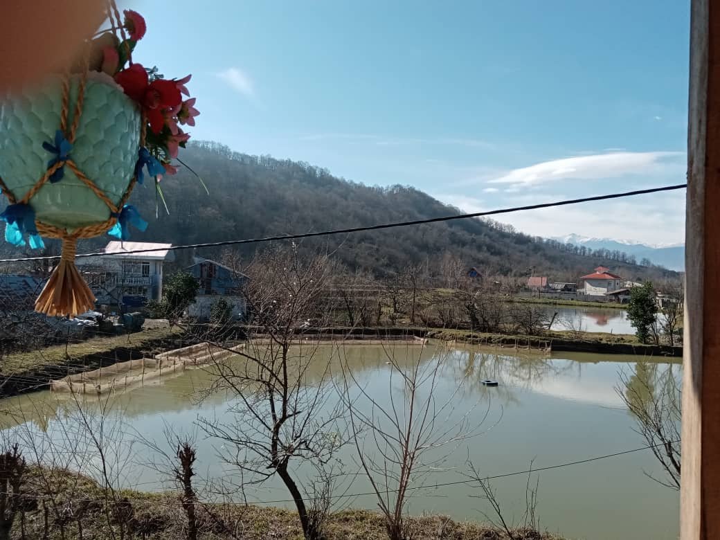 بومگردی ماندی چینا - واحد 4