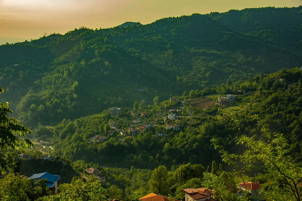 سوئیت فلت جنگلی صادقی