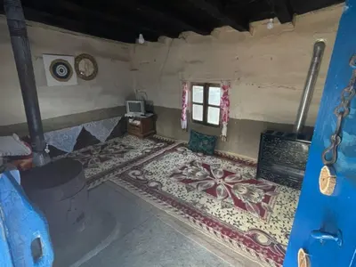 بومگردی فلت ویشه - روجا