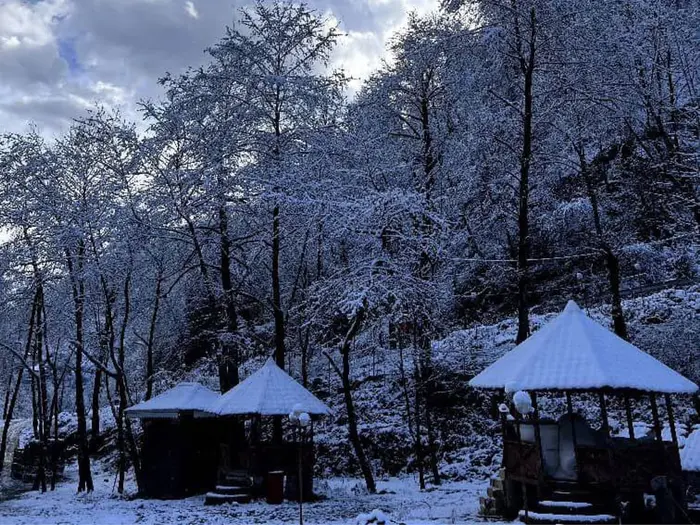 مجتمع اقامتگاهی دوخوابه سیلوانه - سوئیت 210