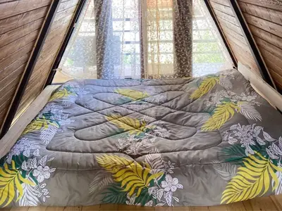 کلبه یک خوابه اردیبهشت