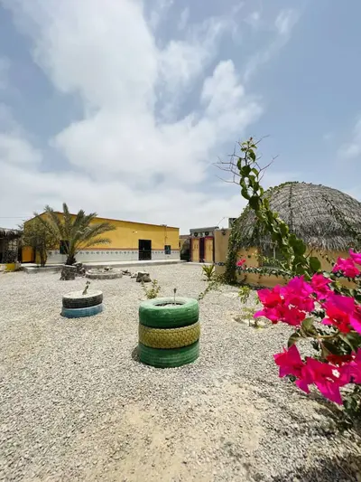 بومگردی گرگیج - واحد 502