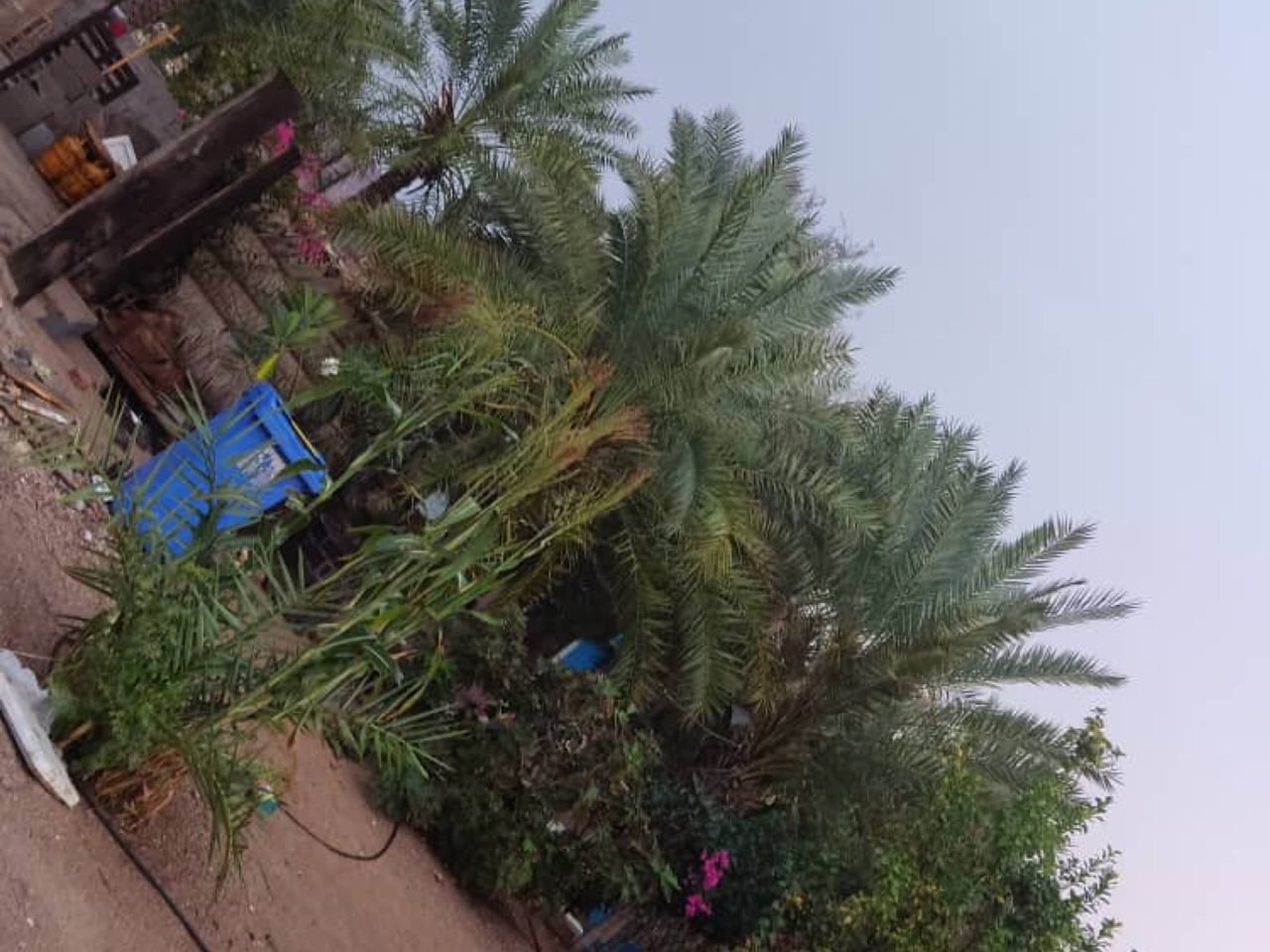 سلیدون - واحد عمو سلیدون