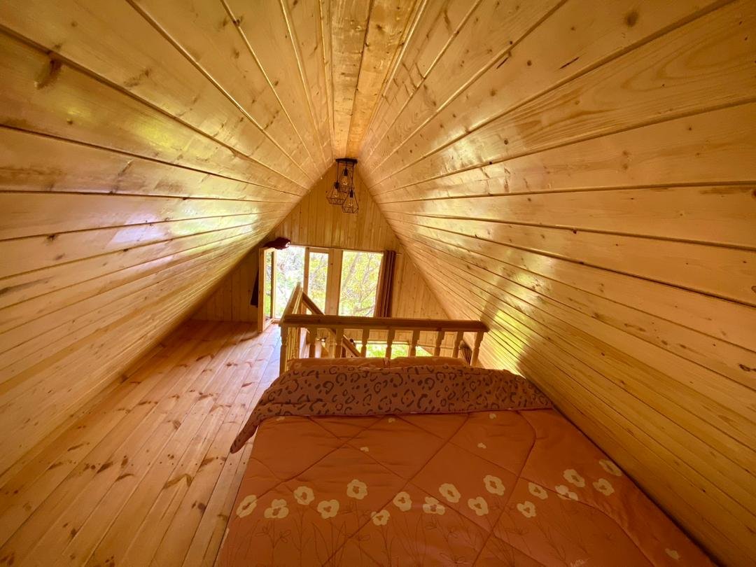 برادران یحیی - واحد آرامیس