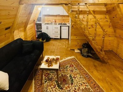 کلبه یک خوابه سوئیسی چوبی سبزی