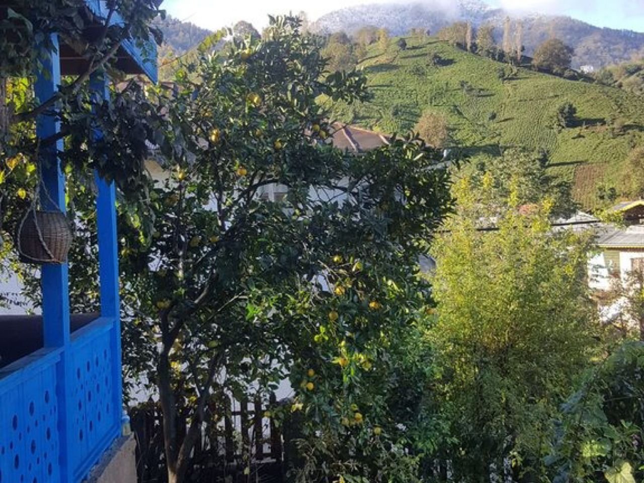 بومگردی گوهران - واحد خوجیر