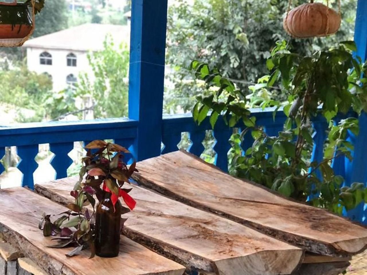 بوم گردی گوهران - واحد خوجیر