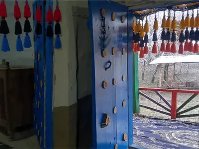 بومگردی فلت ویشه - روجا