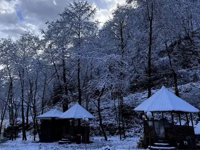 مجتمع اقامتی دوخوابه سیلوانه - سوئیت 209