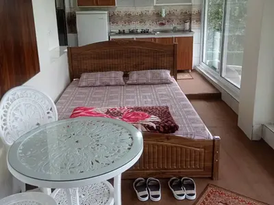 سوئیت فلت جنگلی صادقی