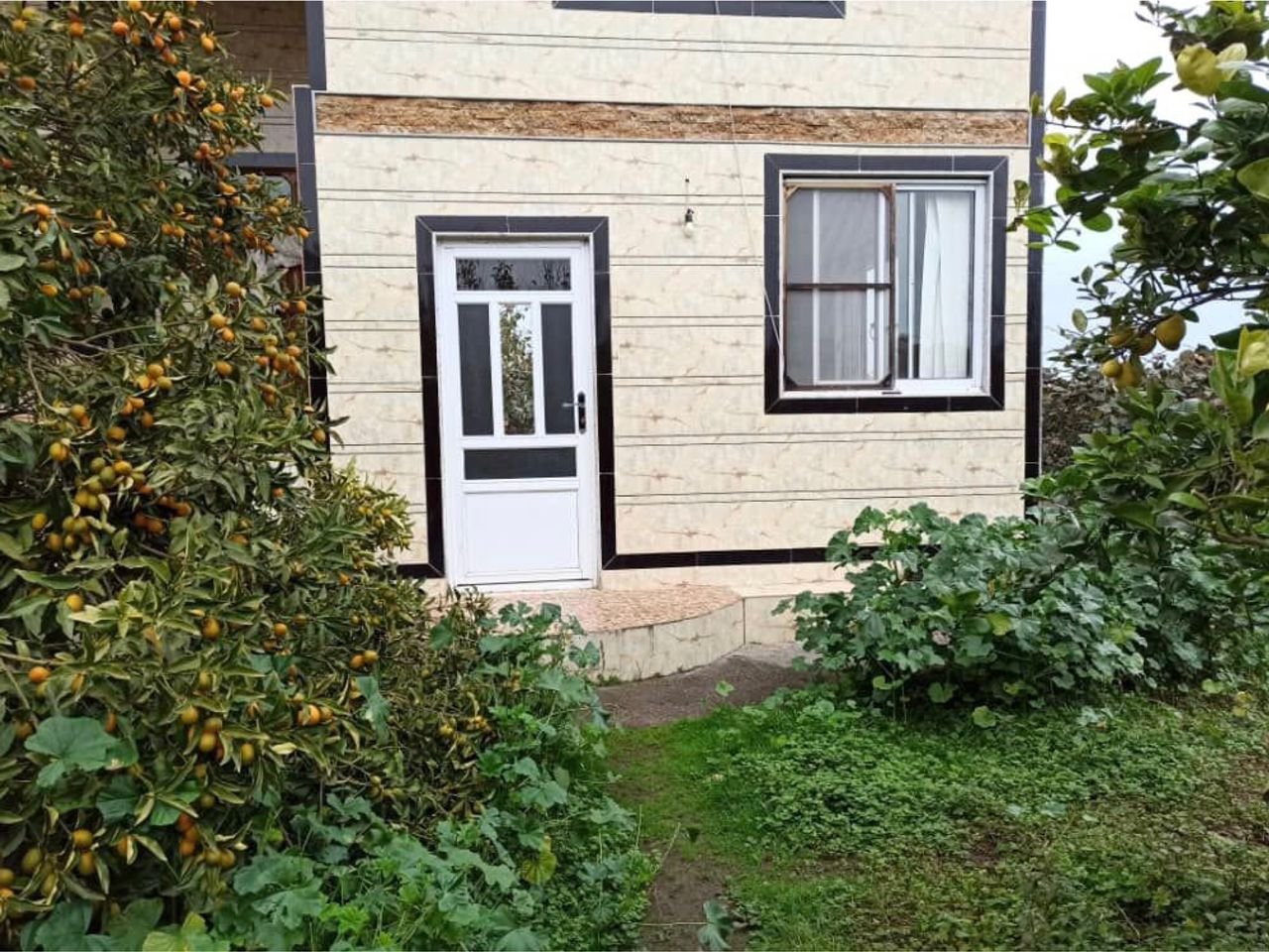 سوئیت یک خوابه جاوید