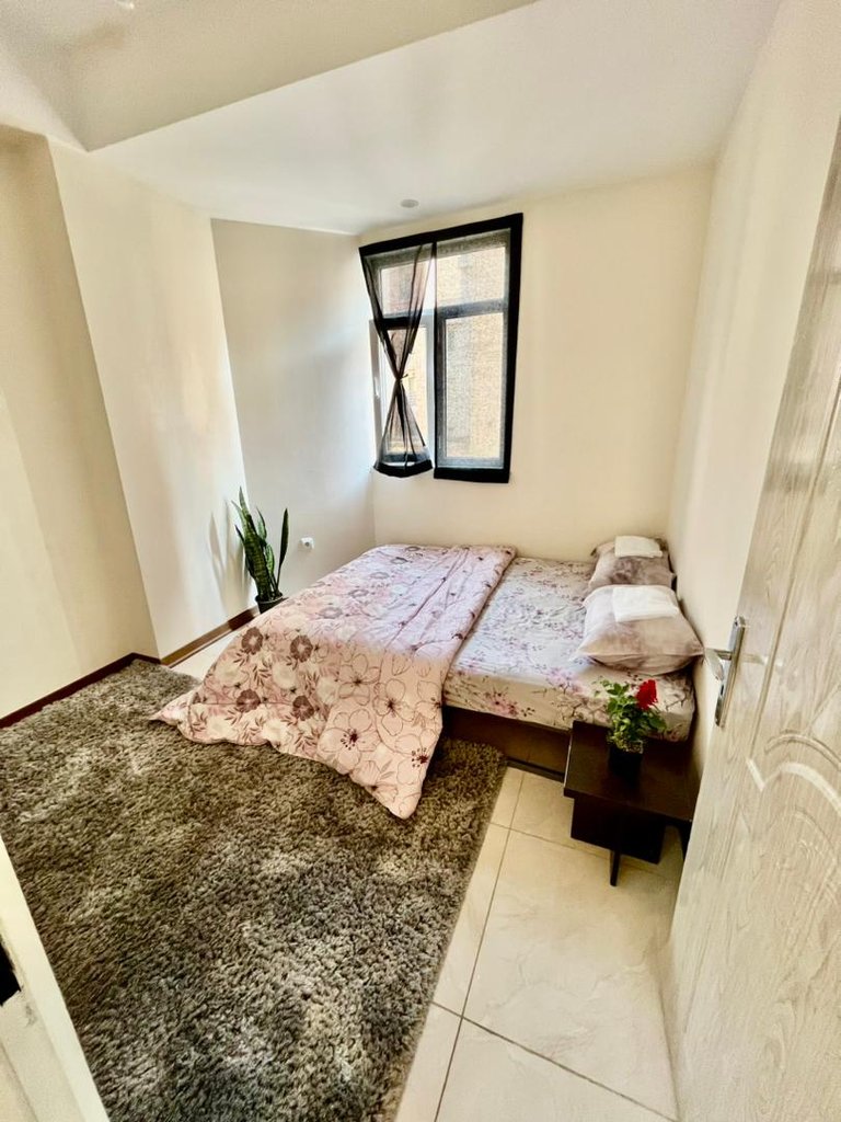 دو خوابه ماندگار شریعتی