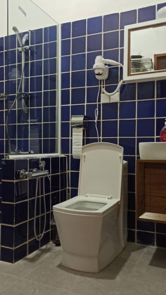 افصح الدوله خانه قجری - واحد بیژن