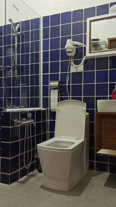 اقامتگاه سنتی افصح الدوله خانه قجری - واحد بیژن