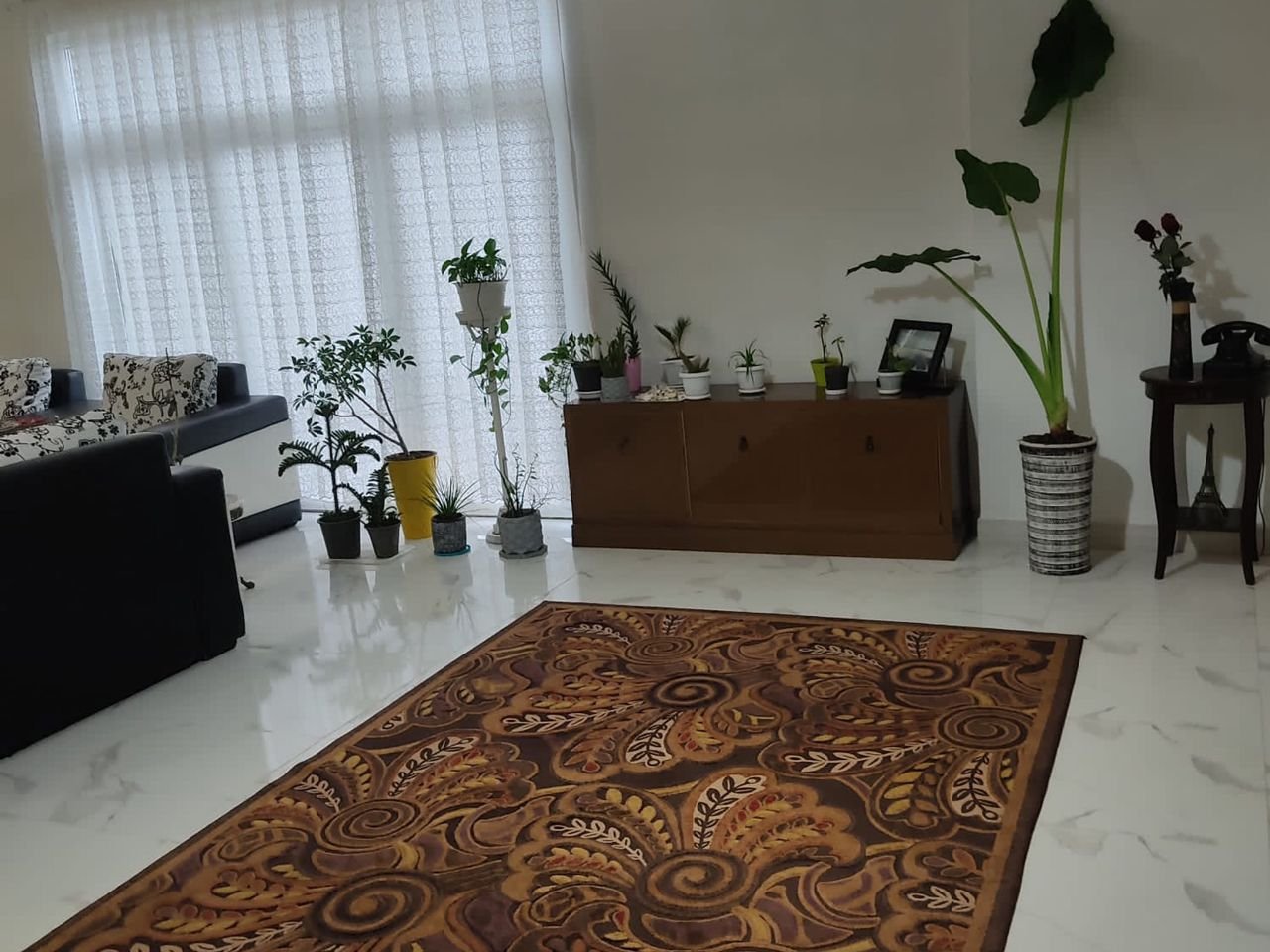 دوخوابه نیلوفر آبی