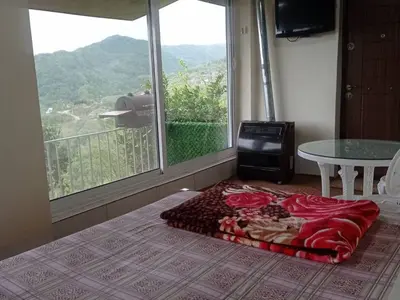 سوئیت فلت جنگلی صادقی